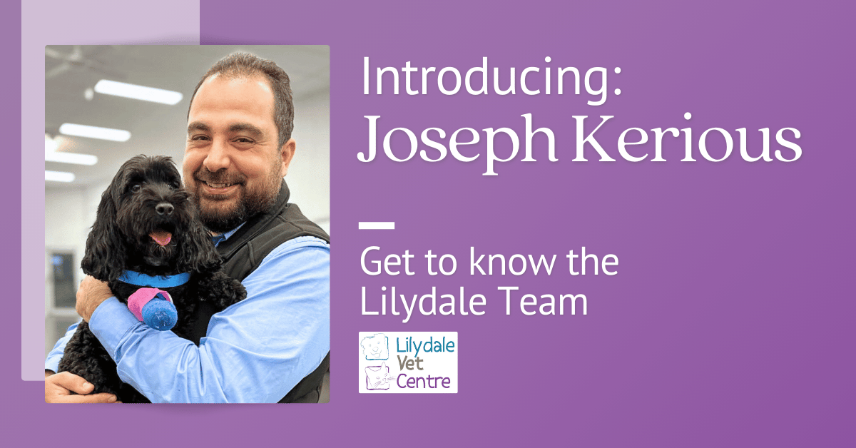 Joseph Kerious Is A Warm, Cheerful, And Compassionate Veterinarian At Lilydale Vet Centre—Always Ready With A Smile And A Heart For Healing.