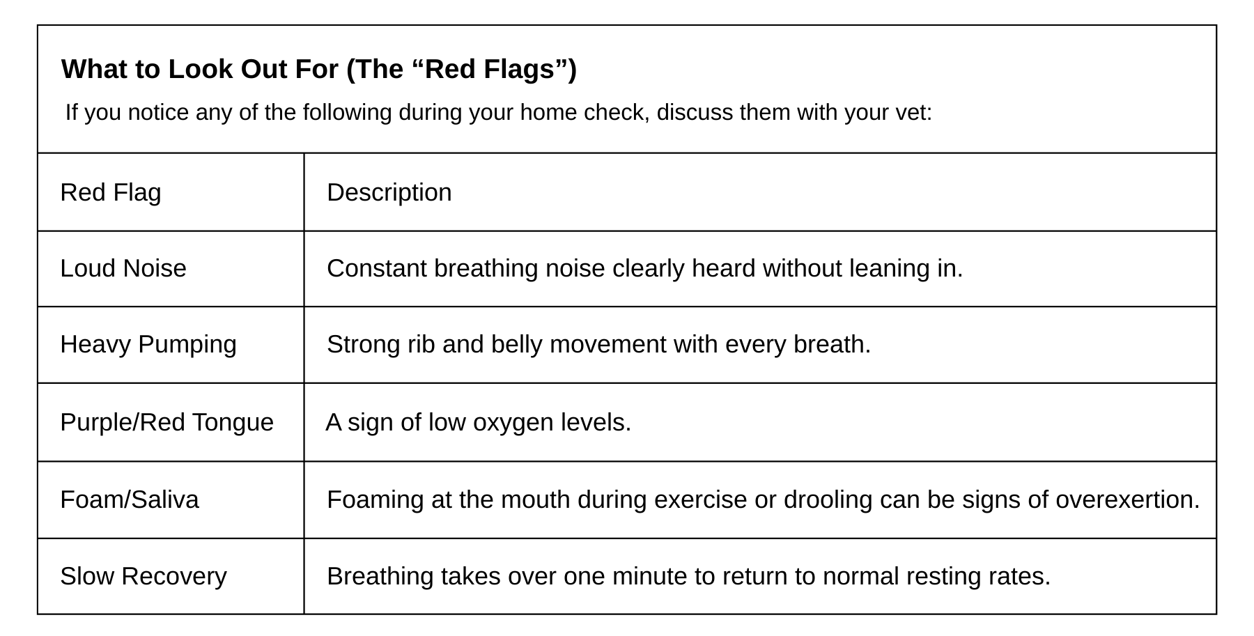 Protect Your Flat-Faced Bestie: Simple Ways To Prevent Boas Problems 3 | Lilydale Vet | Veterinary Care | Image Learn Tips To Protect Your Flat-Faced Dog Or Cat From Boas, Skin, And Spinal Issues. Keep Your Bulldog, Pug, Or Persian Safe, Healthy, And Happy.