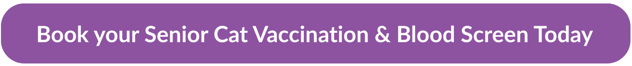 The Simple Senior Cat Routine That Could Add Years To Your Feline Friend’s Life 4 | Lilydale Vet | Veterinary Care | Image Learn How To Care For Senior Cats With Proactive Veterinary Care, Nutrition, And Arthritis Support. Keep Your Aging Cat Healthy, Active, And Content In Their Golden Years.