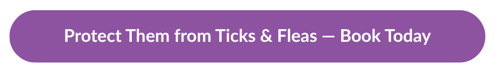 Easter Pet Safety Tips From Your Emergency Vet: Keep Them Safe And Stress-Free 3 | Lilydale Vet | Veterinary Care | Image Blog 2 - Easter Pet Safety Tips From Your Emergency Vet Keep Them Safe And Stress-Free - Cta Button B