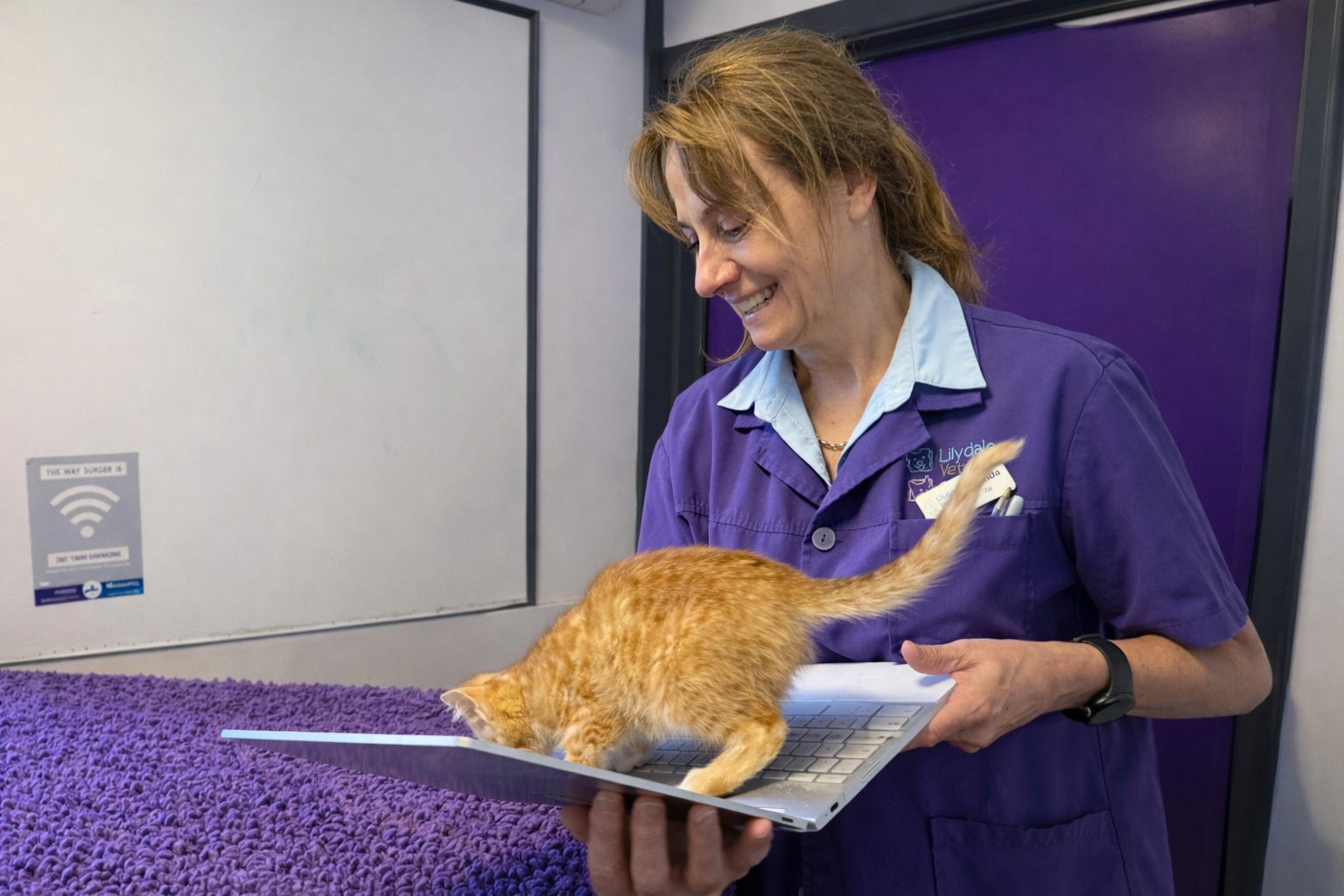 Easter Pet Safety Tips From Your Emergency Vet: Keep Them Safe And Stress-Free 5 | Lilydale Vet | Veterinary Care | Image Blog 2 Easter Pet Safety Tips From Your Emergency Vet Keep Them Safe And Stress Free A | Lilydale Vet | Veterinary Care | Image