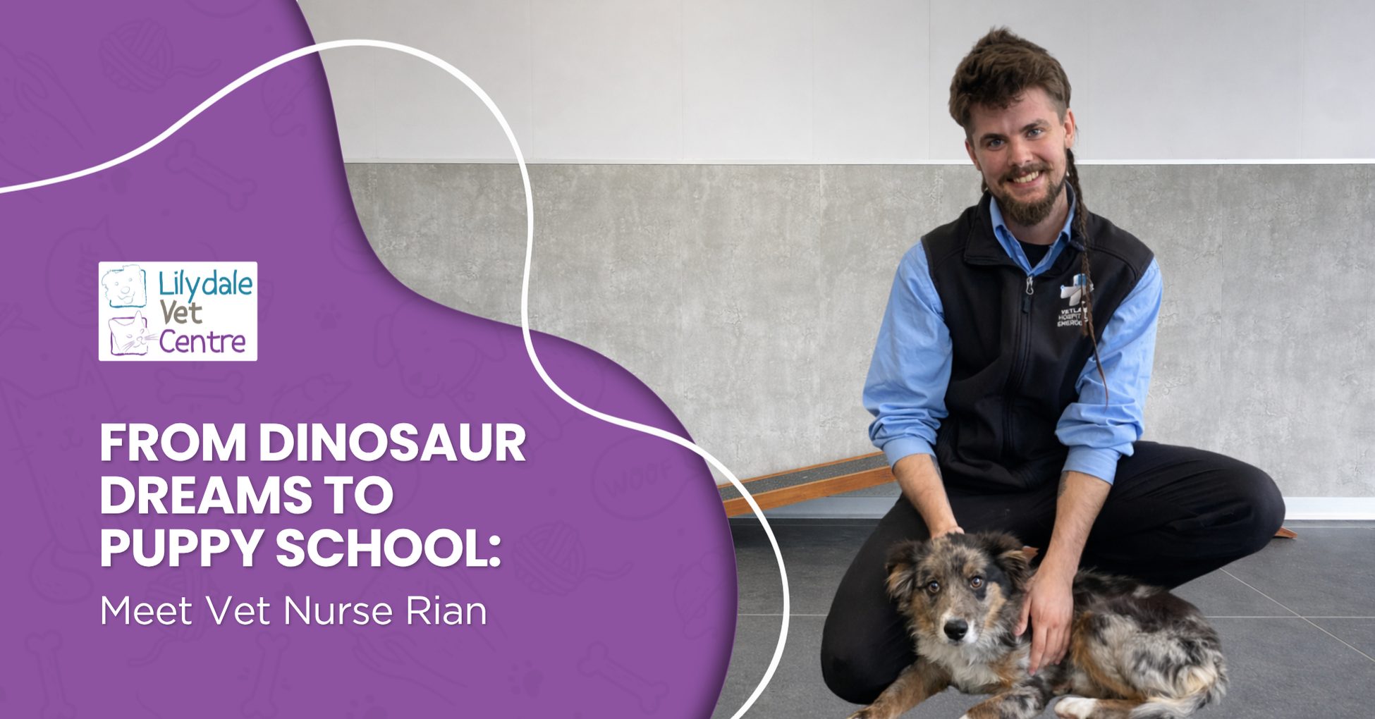 From Dinosaur Dreams To Puppy School: Meet Vet Nurse Rian 1 | Lilydale Vet | Veterinary Care | Image Veterinary Nurse Rian Sharp At Lilydale Vet Centre Gently Holding A Puppy During Puppy Development Training, Showing Compassionate Veterinary Nursing Care And Dedication To Young Pets.