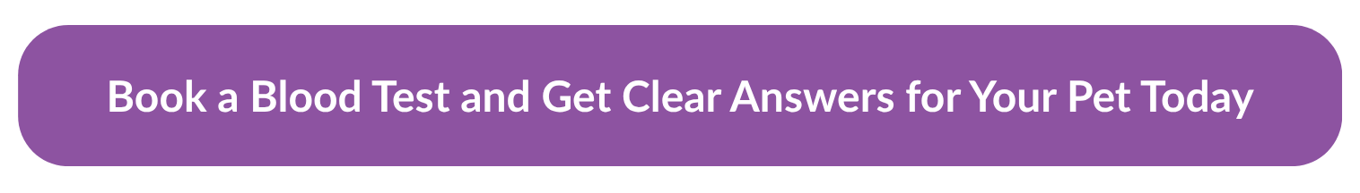 It’s Not Your Fault: Why A Pet Health Check Unlocks The Truth 5 | Lilydale Vet | Veterinary Care | Image It’s Not Your Fault: Why A Pet Health Check Unlocks The Truth