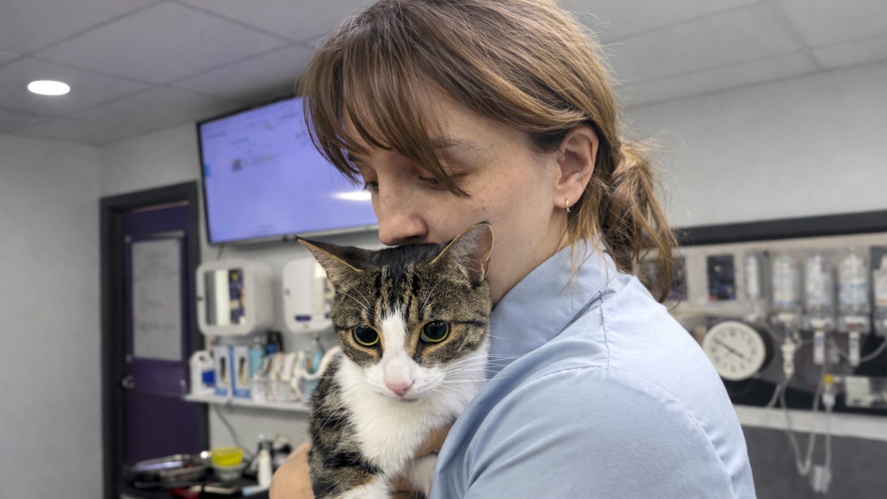 It’s Not Your Fault: Why A Pet Health Check Unlocks The Truth 4 | Lilydale Vet | Veterinary Care | Image Cat Sitting Quietly Near Empty Water Bowl, Showing Subtle Health Changes. Pet Health Check Can Uncover Hidden Conditions Early And Help Maintain Long-Term Health And Comfort.