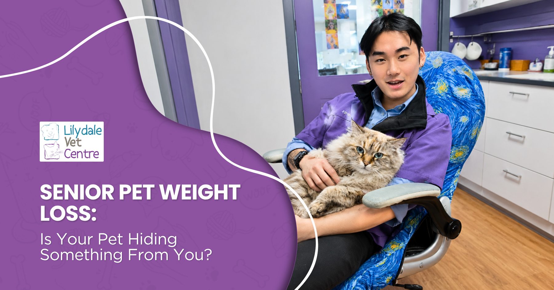 Senior Pet Weight Loss: Is Your Pet Hiding Something From You? 1 | Lilydale Vet | Veterinary Care | Image Senior Pet Weight Loss Is Your Pet Hiding Something 1 | Lilydale Vet | Veterinary Care | Image