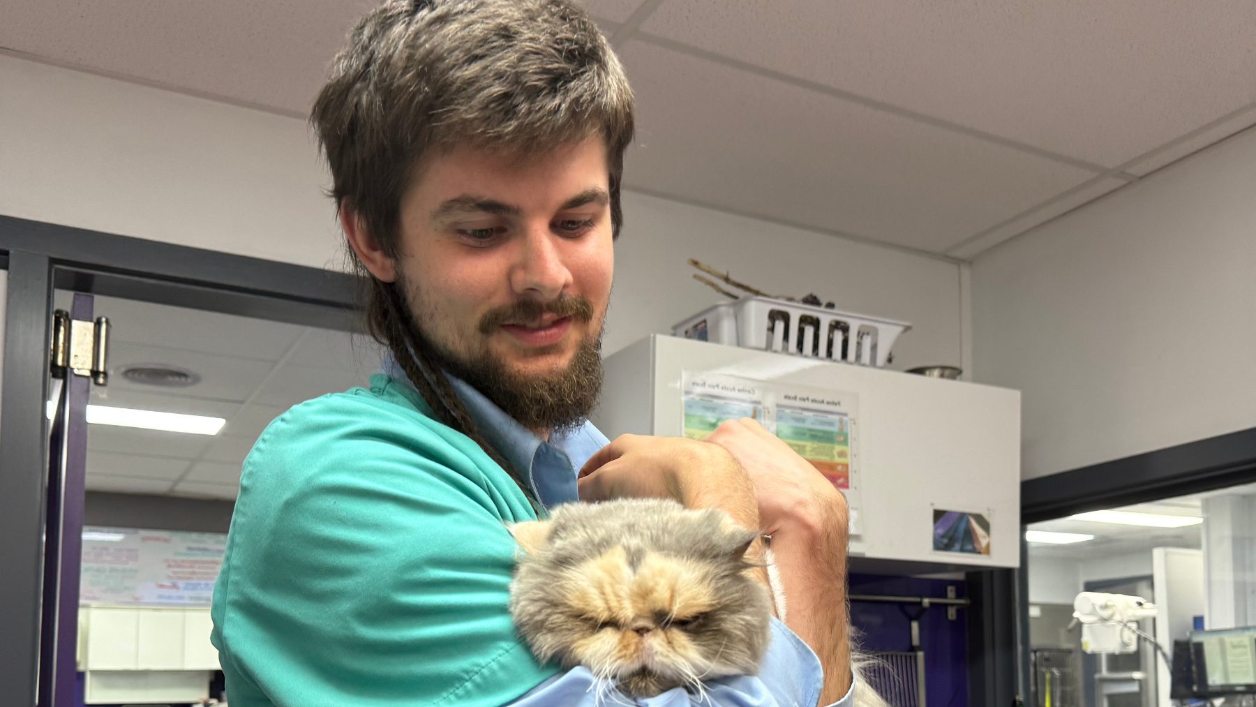 The 60-Second Pet Heart Health Check That Could Save Their Life 3 | Lilydale Vet | Veterinary Care | Image Relaxed Senior Cat Resting Comfortably During A Pet Heart Health Monitoring Check To Track Sleeping Respiratory Rate And Support Early Detection.
