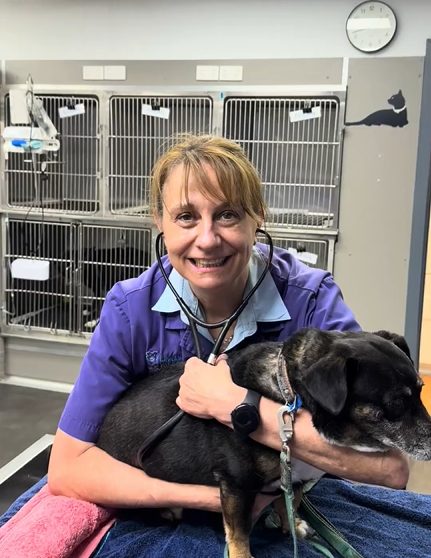 The 60-Second Pet Heart Health Check That Could Save Their Life 2 | Lilydale Vet | Veterinary Care | Image A Vet Demonstrating A Simple Pet Heart Health Check By Counting A Sleeping Dog’s Breaths To Help Detect Worsening Heart Disease Early.