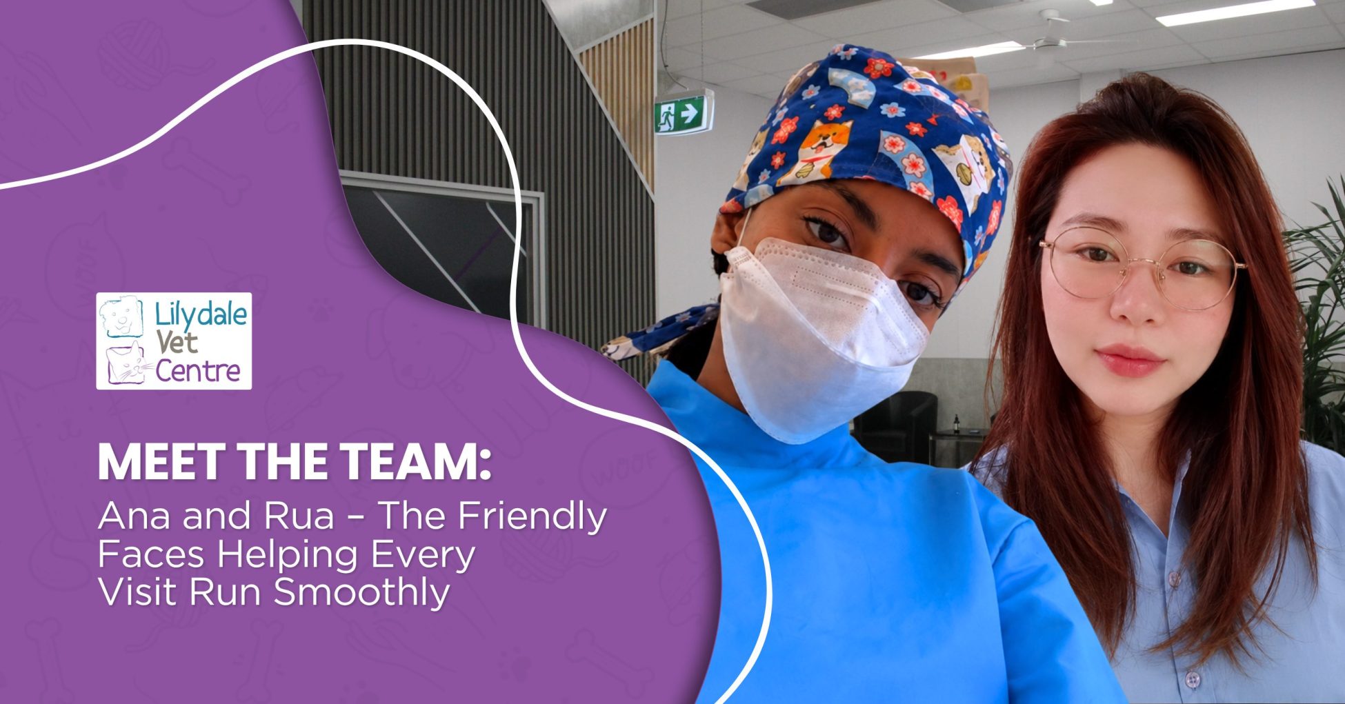 Meet The Team: Ana And Rua – The Friendly Faces Helping Every Visit Run Smoothly 1 | Lilydale Vet | Veterinary Care | Image Rua &Amp; Ana Work Behind The Scenes At Lilydale Vet Centre, Helping Deliver Smooth Veterinary Care Through Organised Administration And Warm Support For Every Pet Family.