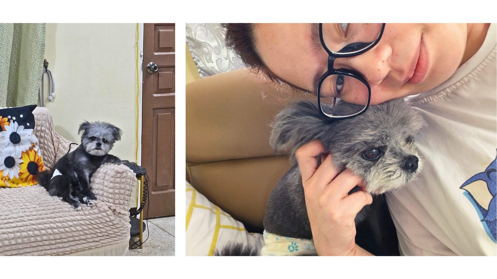 Meet The Team: Ana And Rua – The Friendly Faces Helping Every Visit Run Smoothly 4 | Lilydale Vet | Veterinary Care | Image Ana, A Communications And Admin Team Member At Lilydale Vet Centre, Creates Welcoming Veterinary Experiences While Supporting Pets And Their Families With Genuine Care.