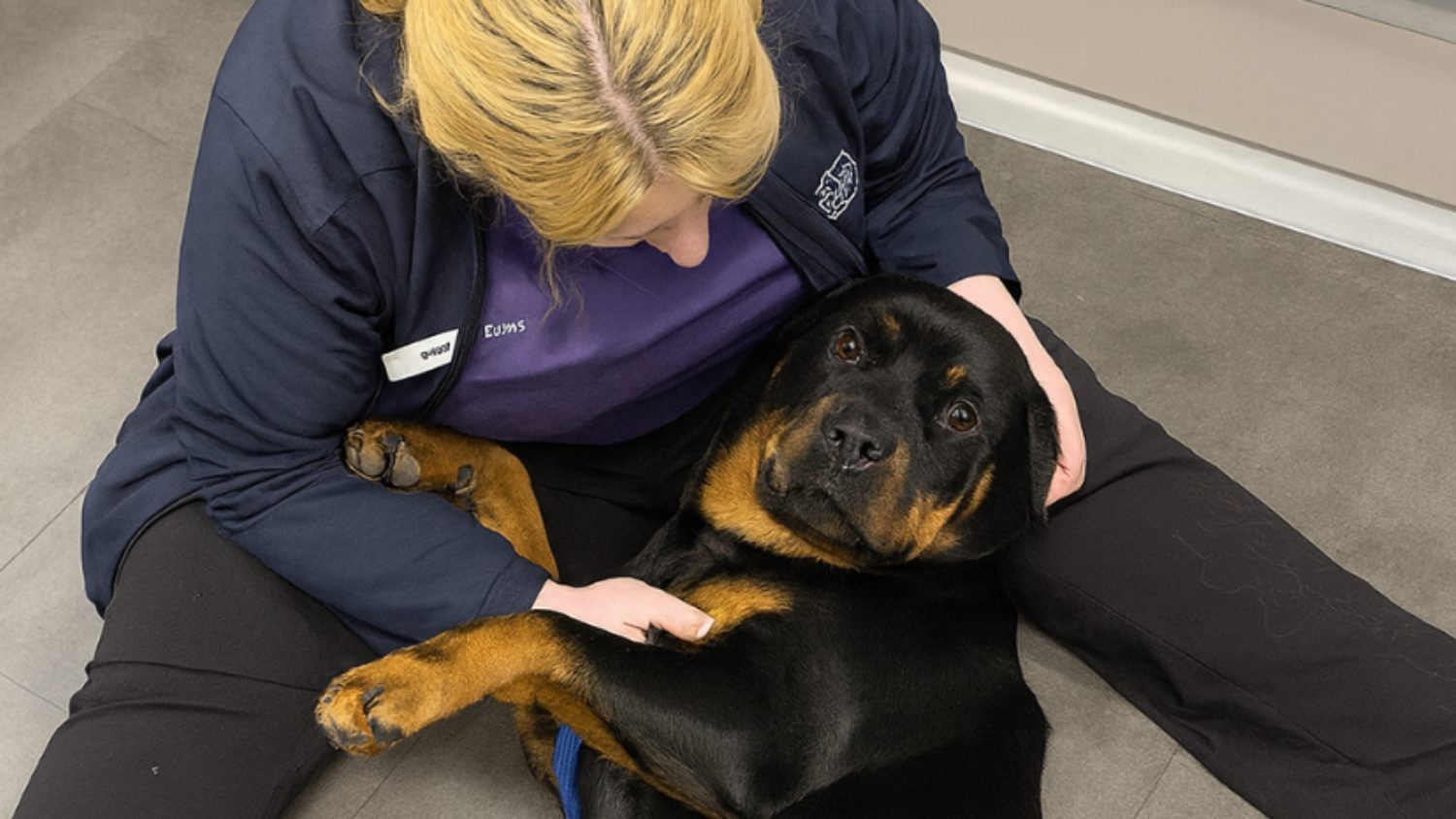 Dog Weight Loss: Could Too Much Tucker Be Stealing Precious Years? 2 | Lilydale Vet | Veterinary Care | Image Lilydale Blog - Dog Weight Loss Could Too Much Tucker Be Stealing Precious Years 1