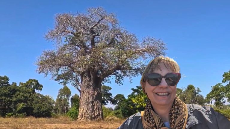 From The Yarra Valley To The Zambezi: An African Journey I'Ll Never Forget 26 | Lilydale Vet | Veterinary Care | Image Herd Of African Elephants Crossing Open Plains In Zambia, Highlighting The Remarkable Wildlife Encounters And Conservation Efforts Experienced During Dr. Miranda'S Unforgettable Journey.