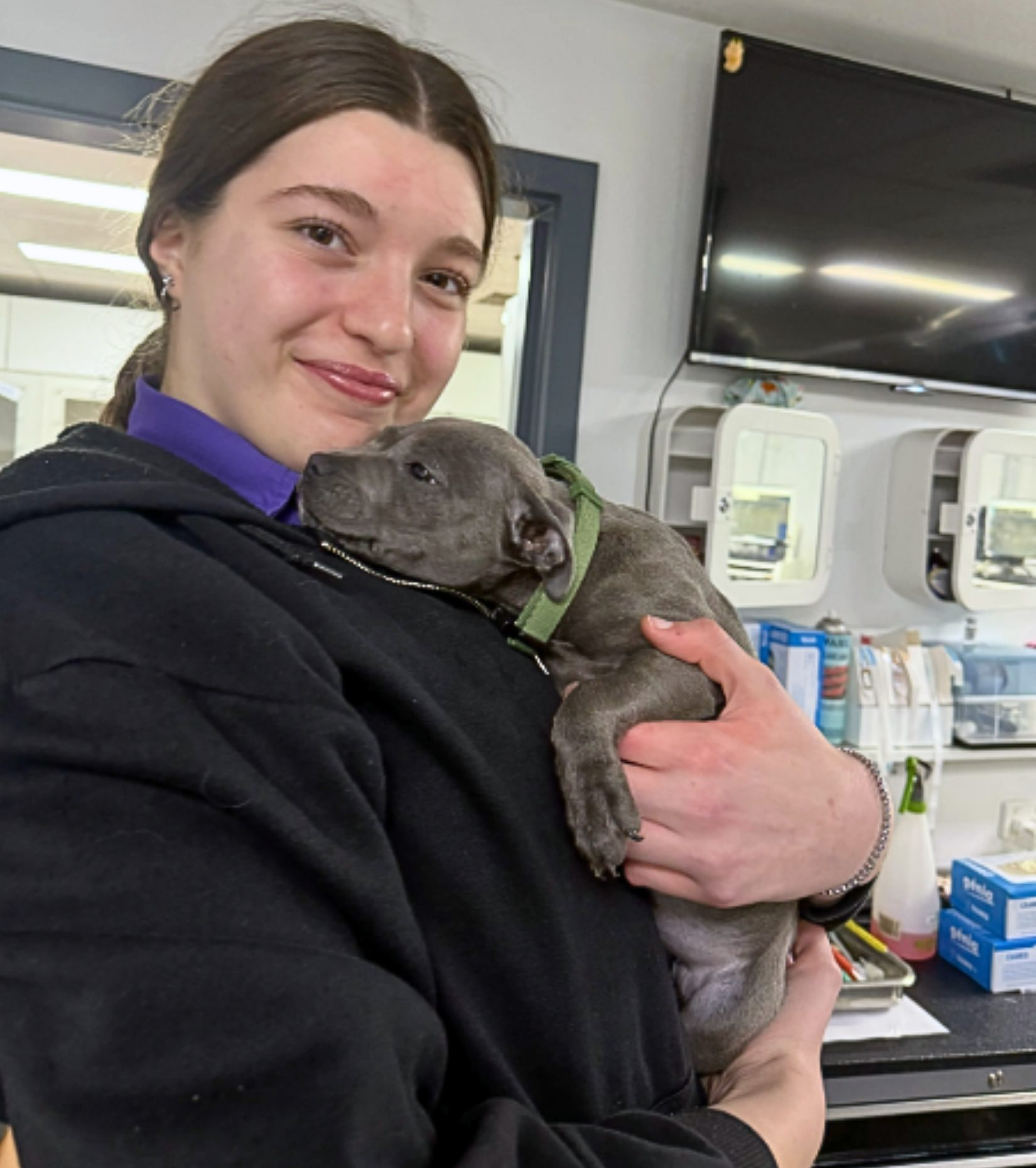 Meet Bianca: Chasing Her Dream Through Veterinary Care And Compassion 2 | Lilydale Vet | Veterinary Care | Image Meet Bianca From Lilydale Vet Centre, A Passionate Animal Attendant And Dog Lover Who Has Dreamed Of Building A Veterinary Career Since Age Fourteen.
