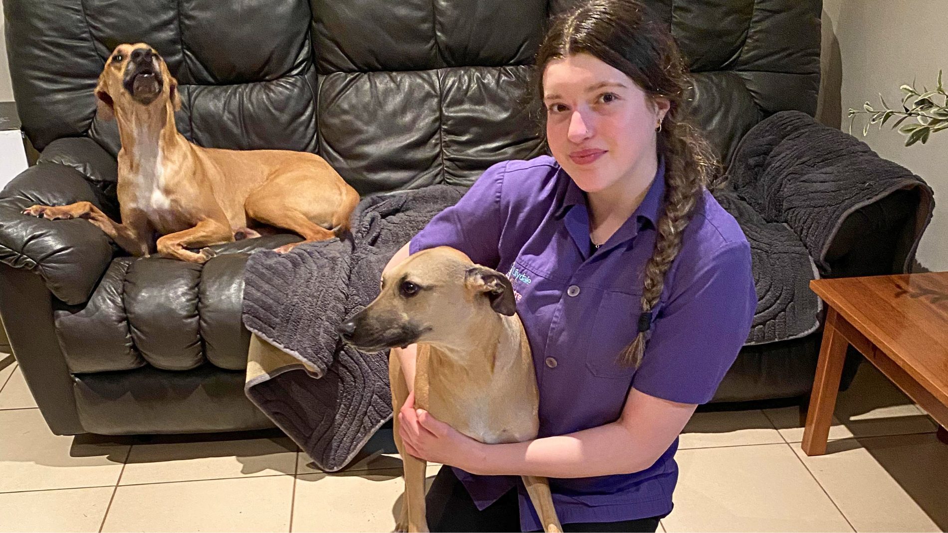 Meet Bianca: Chasing Her Dream Through Veterinary Care And Compassion 3 | Lilydale Vet | Veterinary Care | Image Animal Attendant Bianca Shares Her Love For Dogs, Teamwork And Veterinary Care While Gaining Experience At Lilydale Vet Centre Towards Her Dream Career.
