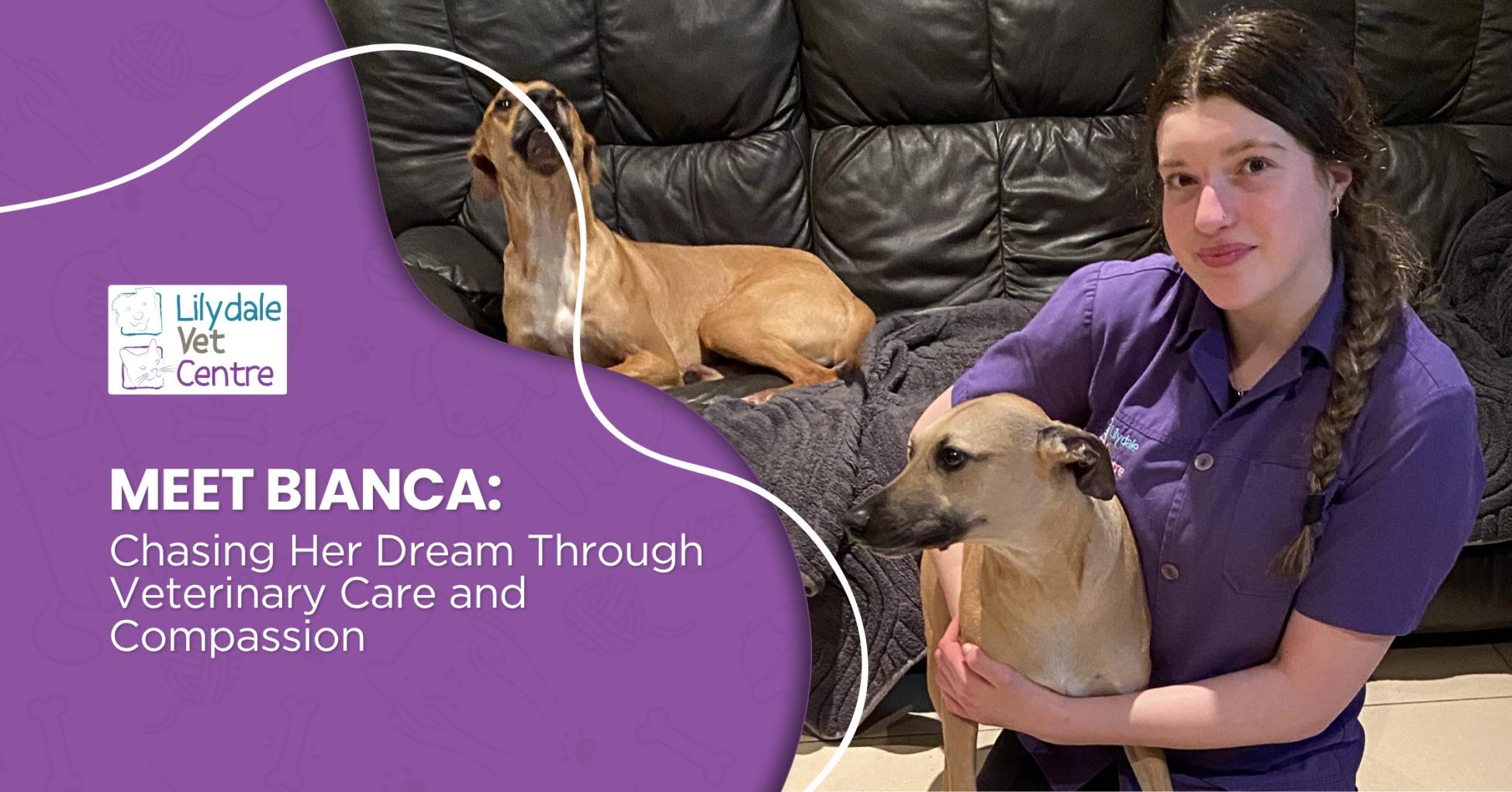 Meet Bianca: Chasing Her Dream Through Veterinary Care And Compassion 1 | Lilydale Vet | Veterinary Care | Image Bianca, Animal Attendant At Lilydale Vet Centre, Brings Kindness, Energy And A Lifelong Passion For Veterinary Care To Every Animal She Helps Each Day.