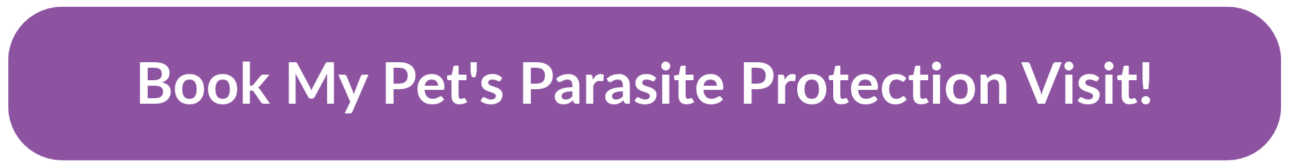 Parasite Party Crashers: Why &Quot;Low Risk&Quot; Never Means &Quot;No Risk&Quot;! 4 | Lilydale Vet | Veterinary Care | Image Lilydale Vet Centre -Parasite Party Crashers Why Low Risk Never Means No Risk! - Cta Button